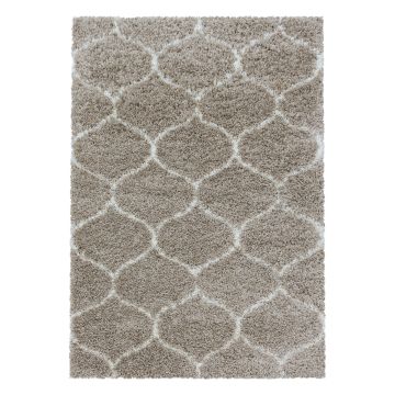 Salsa Shaggy vloerkleed hoogpolig rechthoek 160x230cm beige