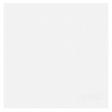 DDDDD Logo theedoek 60x65cm wit (6 stuks)