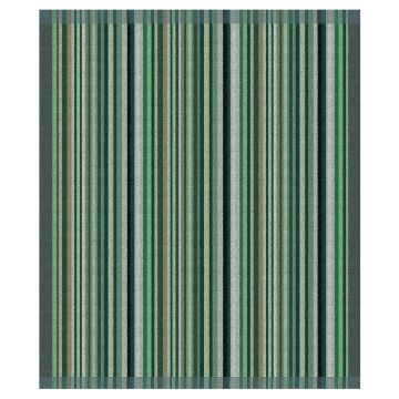 DDDDD Over The Rainbow keukendoek 50x55cm groen (6 stuks)