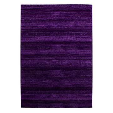 Plus vloerkleed laagpolig rechthoek 280x370cm lila