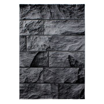 Parma Oltu vloerkleed laagpolig rechthoek 280x370cm zwart