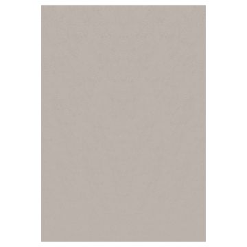 Sky vloerkleed laagpolig rechthoek 240x340cm beige