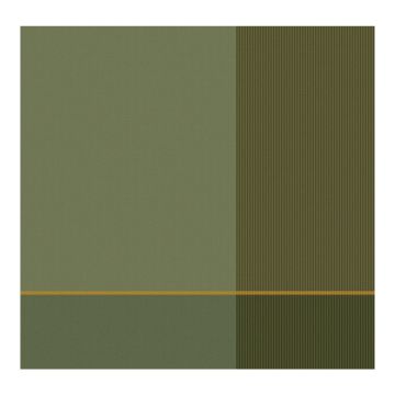 DDDDD Blend theedoek 60x65cm olijfgroen (6 stuks)