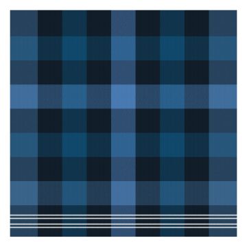 DDDDD Feller theedoek 60x65cm blauw (6 stuks)