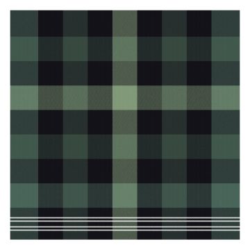 DDDDD Feller theedoek 60x65cm groen (6 stuks)