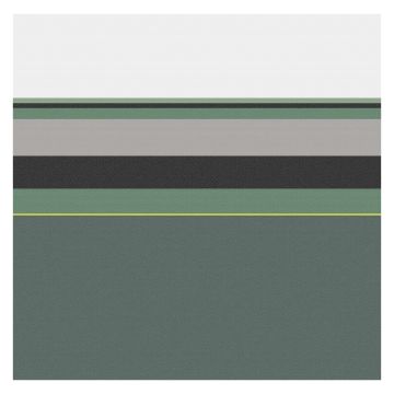 DDDDD Rico theedoek 60x65cm groen (6 stuks)