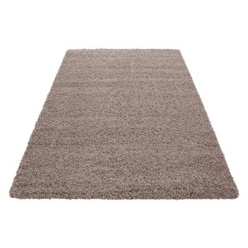 Dream Shaggy vloerkleed hoogpolig rechthoek 65x130cm beige