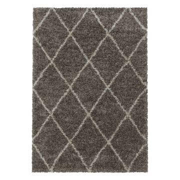 Alvor Shaggy vloerkleed hoogpolig rechthoek 280x370cm taupe