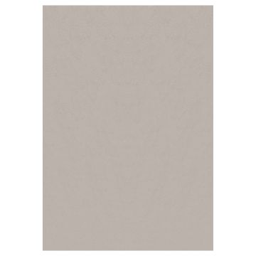 Sky vloerkleed laagpolig loper 60x110cm beige