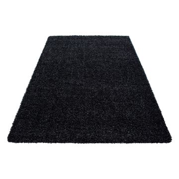 Dream Shaggy vloerkleed hoogpolig rechthoek 80x150cm antraciet