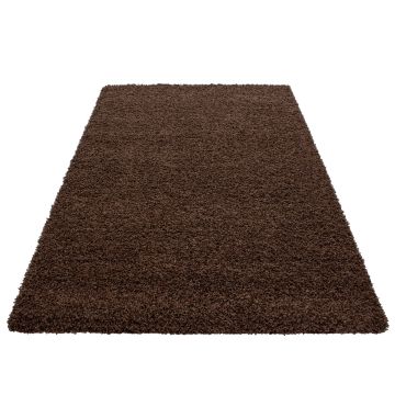Dream Shaggy vloerkleed hoogpolig rechthoek 160x230cm bruin