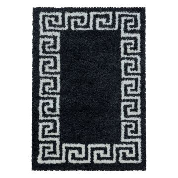 Hera Shaggy vloerkleed hoogpolig rechthoek 160x230cm antraciet