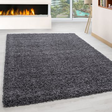 Life Shaggy vloerkleed hoogpolig rechthoek 140x200cm grijs