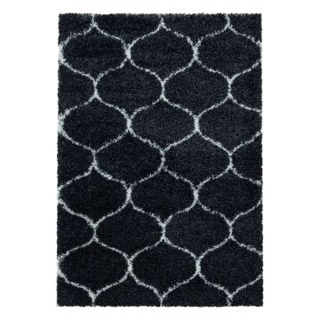 Salsa Shaggy vloerkleed hoogpolig rechthoek 280x370cm antraciet
