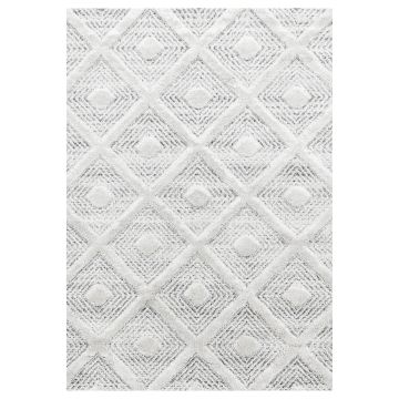 Pisa Rheng vloerkleed hoogpolig rechthoek 200x290cm grijs