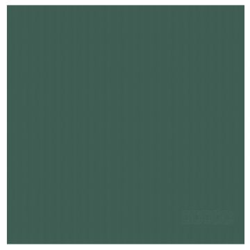 DDDDD Logo theedoek 60x65cm groen (6 stuks)